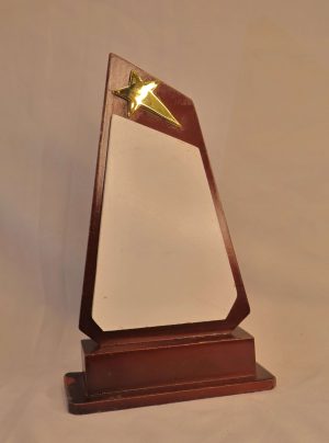 Modern Star Plaque — Triangular Wooden Trophy, Engraving