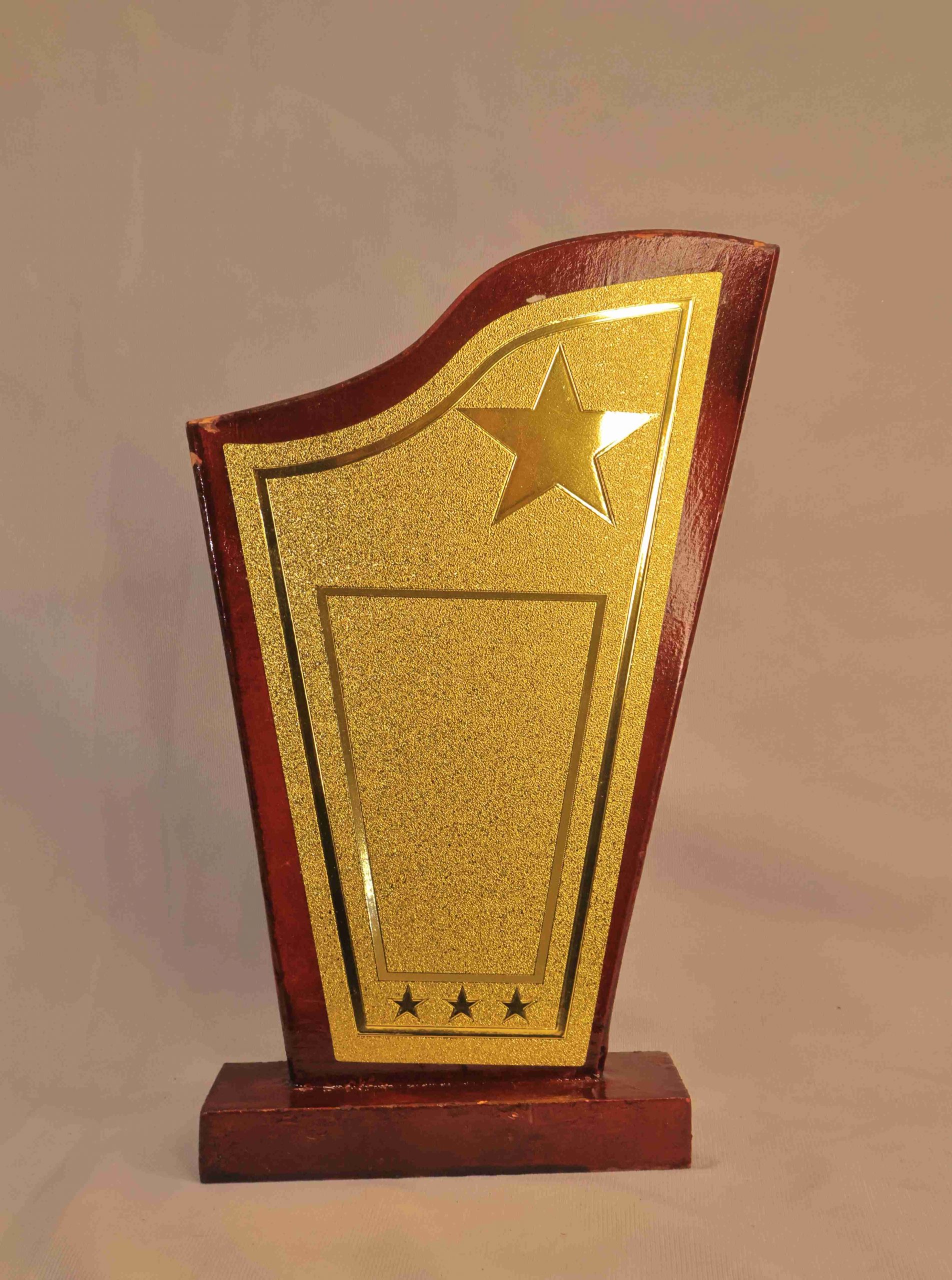 Modern Star Trophy Plaque — Gold Faceplate, Custom Engraving Modern Star Trophy Plaque — Gold Faceplate, Custom Engraving