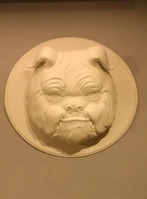 Bulldog Wall Sculpture — Head Medallion for Wall