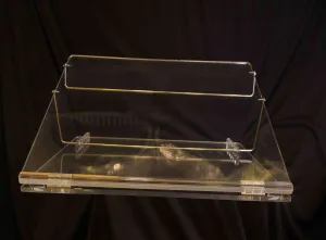 Crystal Clear Acrylic Reading & Writing Desk