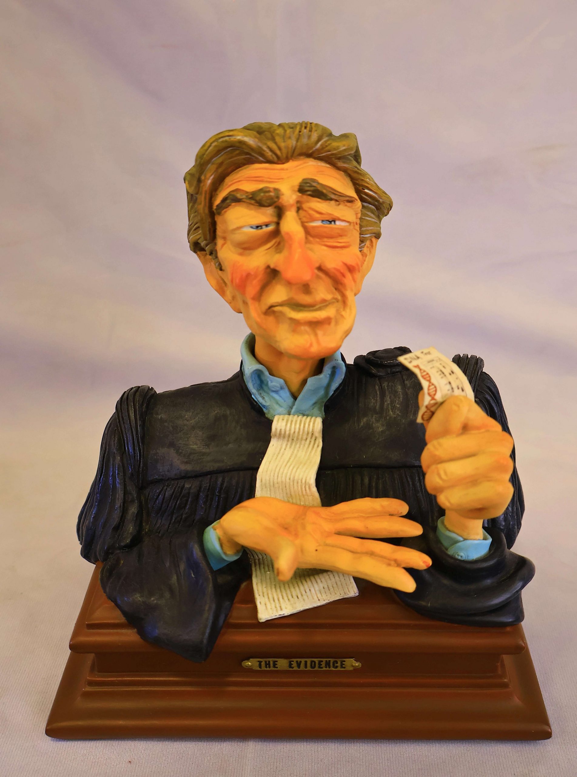 “The Evidence Lawyer” “The Evidence Lawyer”