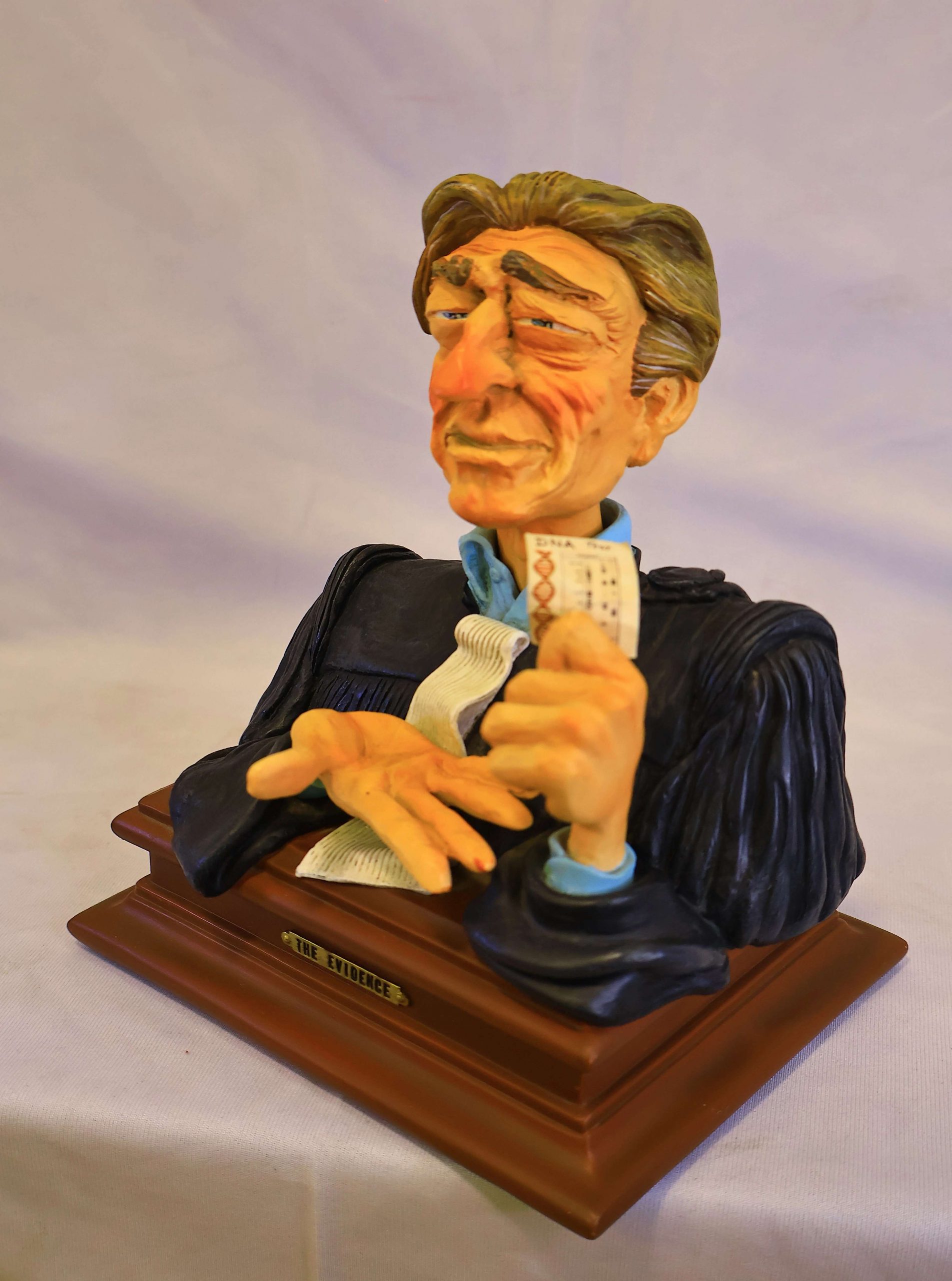 “The Evidence Lawyer” (3)